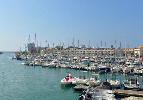 a bunch of boats are docked in a harbor at Hôtel Le Carnon in Carnon-Plage