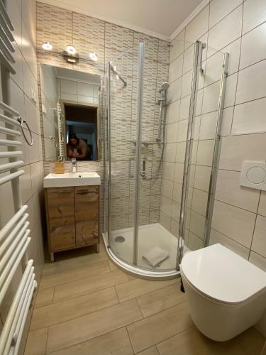 a bathroom with a shower and a toilet and a sink at Nockalm Cottage in Bad Kleinkirchheim