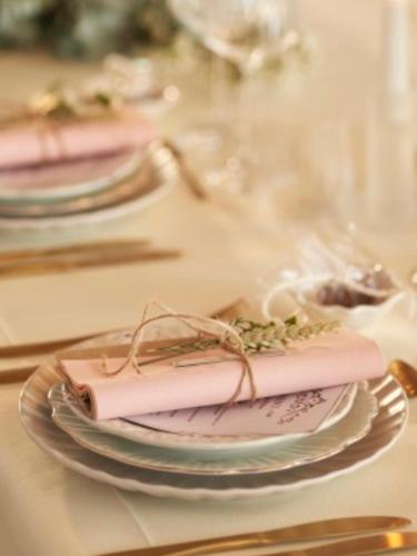 a table topped with plates with pink napkins on them at Stadtwohnung am Oertelplatz in Munich