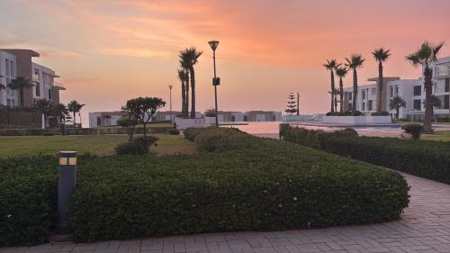 塞拉Un havre de paix的棕榈树和建筑物环绕的公园上空的日落