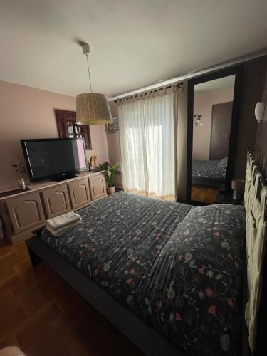 una camera da letto con un letto e un grande specchio di Villa with pool a Maureillas