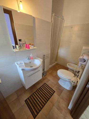 a bathroom with a white sink and a toilet at B&B Il Poggio in Villagrande
