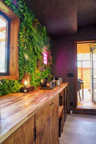 a kitchen with a counter with a green wall at 100度越えサウナ,森林浴,絶景パノラマビュー,森の中の隠れ家,星見ジャグジー---ハーミットたいとう--- in Shiigi