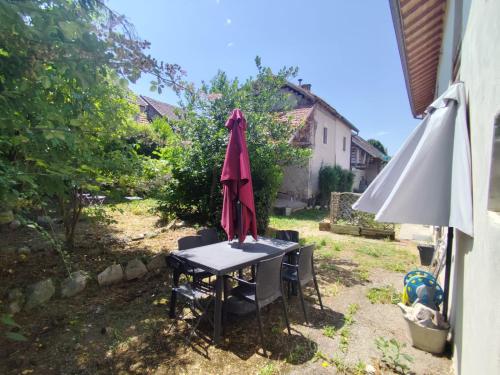 Charmante maison avec jardin au coeur du vignoble Savoyard