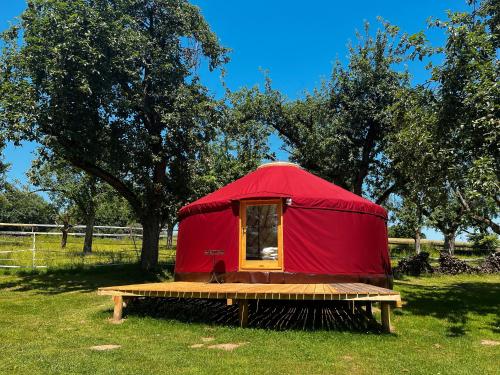 a red yurt with a table in a field at Löwenhof Jurte in Wald