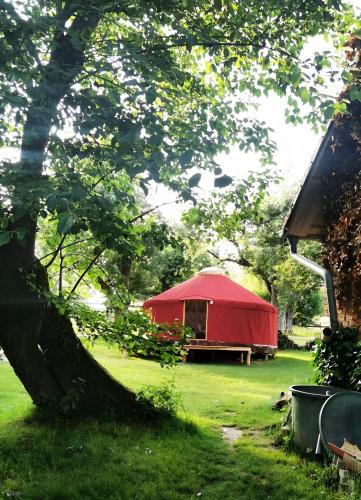 a red tent in a yard with a tree at Löwenhof Jurte in Wald