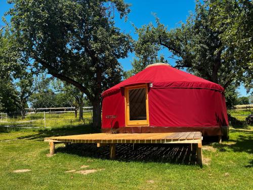 a red yurt with a bench in a field at Löwenhof Jurte in Wald