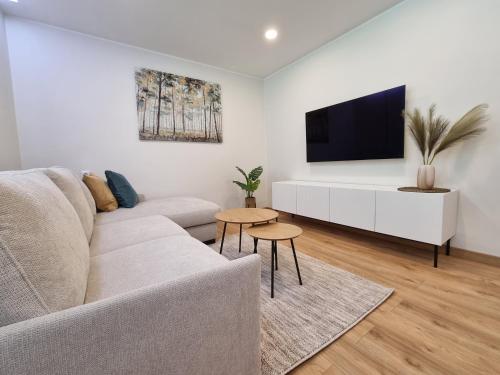 a living room with a couch and a flat screen tv at Apartamentų nuoma Juodkrantėje in Juodkrantė