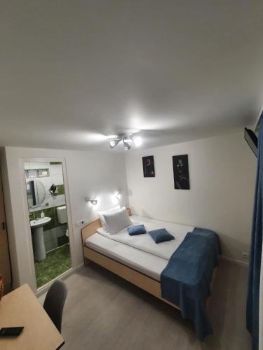 a bedroom with a large bed and a mirror at Pensiunea Leia Cârțișoara in Cârțișoara