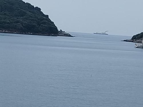 a large body of water with a plane in the distance at Captain's villa in Molunat