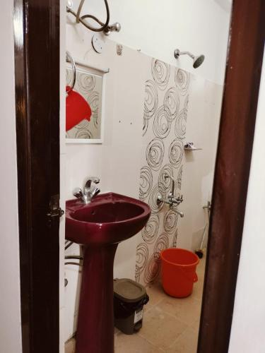 a bathroom with a red sink and a shower at RKs HOME STAY in Shillong