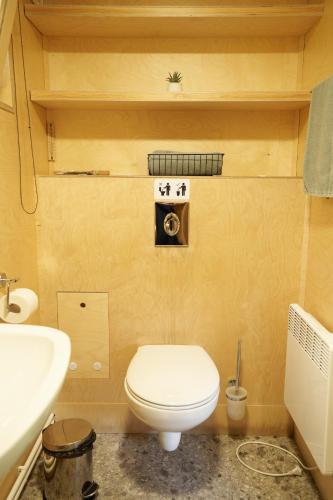 a small bathroom with a toilet and a sink at Pana Ayusai in Almaty