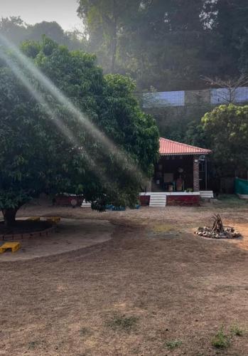a fire hydrant spraying water on a tree at Leafyden Forest Cottages in Talekhār