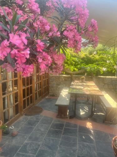 a picnic table under a tree with pink flowers at Roditses Beach Sea Front Apartments in Samos