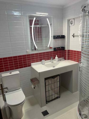 a bathroom with a toilet and a sink and a mirror at Nostos in Nea Moudania