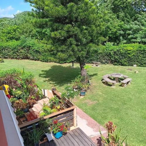 an aerial view of a garden with a tree at Appartement charmant à Sainte-Anne | 30 m² | Balcon et jardin in Sainte-Anne