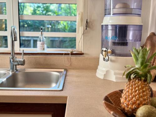 a kitchen counter with a pineapple sitting next to a sink at Waka Lodge - House with garden in Blue Bay