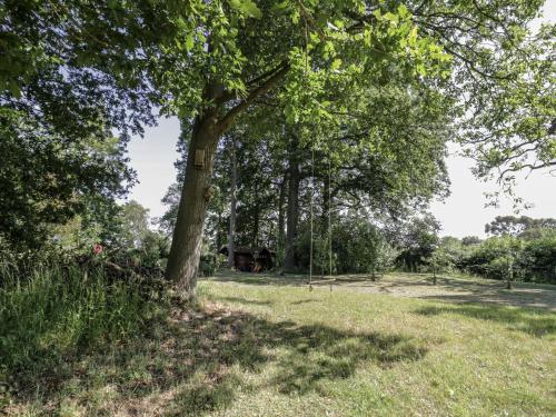 a tree in a field with a house in the background at Carps Well Lodge in Warwick