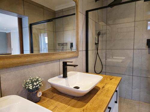 a bathroom with a sink and a shower at Breathe Inn in George