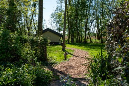 a path leading to a cabin in the woods at Camping de Heemtuin in Tripscompagnie