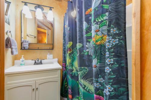 a bathroom with a sink and a shower curtain at Frog Hollow at Hocking Vacations in Logan