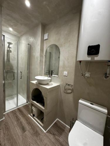 a bathroom with a sink and a shower and a toilet at Studio 3 Aux volets bleus in Aulus-les-Bains