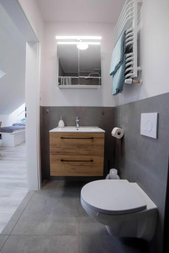 a bathroom with a toilet and a sink at Agroturystyka u Miłosza in Górowo-Trzęski