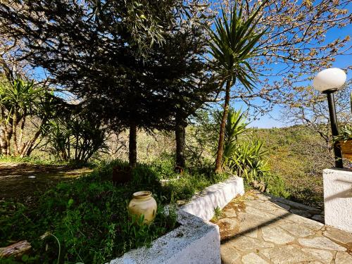 Κήπος έξω από το Lunara Forest Escape Pyrgos Skopelos