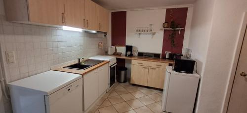 a small kitchen with a sink and a refrigerator at Neukalener Stadthaus Zum Alten Schmied in Neukalen