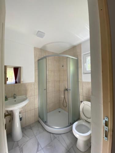 a bathroom with a shower and a toilet and a sink at Vila Rodica in Lunca Mare