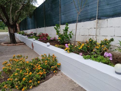 a row of flower beds next to a wall at Villa Riviera by Quokka 360 - a short distance from the sea in Ricadi