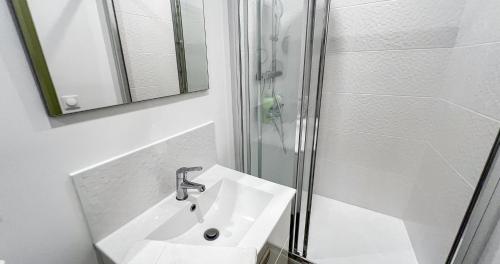 a bathroom with a sink and a shower at Hypercentre - Proche Place St Didier in Avignon