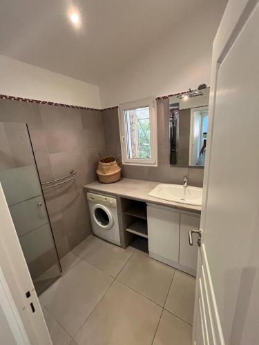 une salle de bain avec une machine à laver et un lavabo dans l'établissement Torraccia, à Porto-Vecchio