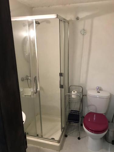 a bathroom with a shower with a red toilet at Quinta dos Covões in Fornos de Algodres