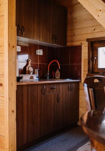 a kitchen with wooden cabinets and a sink in a cabin at Sicevacka Bajka in Niš