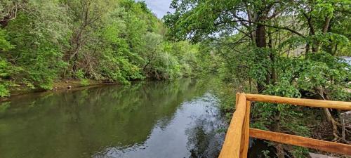 a wooden bridge over a river with trees at Sicevacka Bajka in Niš