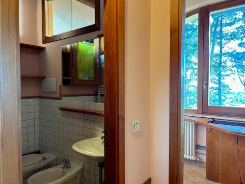 a bathroom with a sink and a toilet and a mirror at Beautiful loft between the sea and the woods in Marcelli