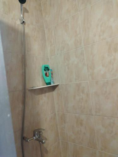 a bathroom with a shower with a faucet at Casa Lidia și Gogu in Budeasa Mare