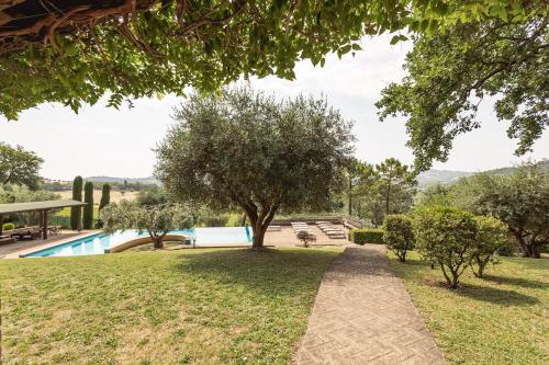 a garden with a tree and a swimming pool at Villa Le 12 Querce in Castel di Mezzo