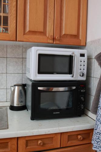 a microwave oven sitting on top of a kitchen counter at Ubytování U Anděla in Raby