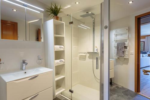 Val d'Arve Apartment - Chamonix All Year