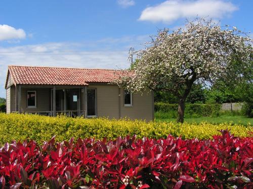 a house with red flowers in front of a field at Parc Résidentiel la Chapelle in Le Ham