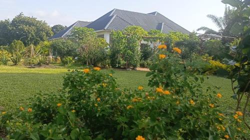 a house with a garden with orange flowers at Shalom Wellspring Homestay in Malindi