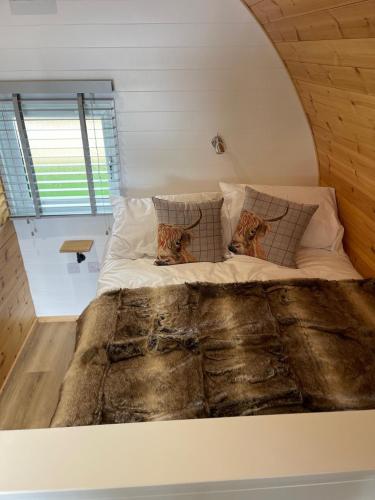 a large bed with two cats sitting on top of it at 3 Hazelwood lakeside hideaway in Baston