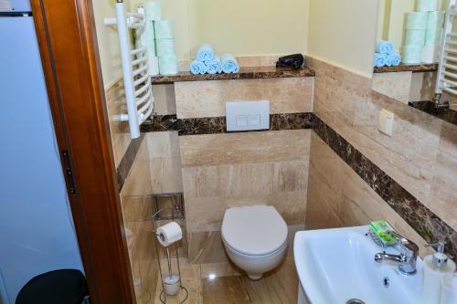 a bathroom with a toilet and a sink at Domek na wzgórzu in Łapsze Niżne