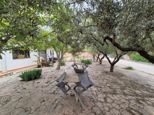 Κήπος έξω από το Hotel Bon Lloc