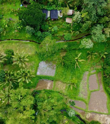 Taman di luar Selatan Rinjani