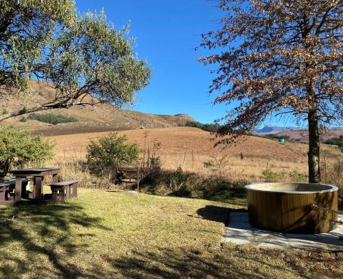 a picnic table and a large tub in a field at Sani Lodge & Cottages in Sani Pass