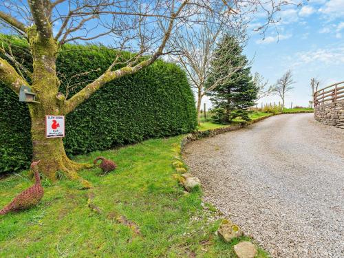 two birds standing next to a tree next to a road at 1 Bed in Kirkby Stephen SZ355 in Ravenstonedale
