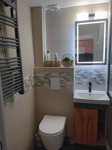 une salle de bain avec toilettes, lavabo et miroir dans l'établissement Maison Argelès sur mer - 400 m de la plage, à Argelès-sur-Mer